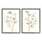 Stupell Industries Cotton Flower Stems Black Framed Wall Art Set